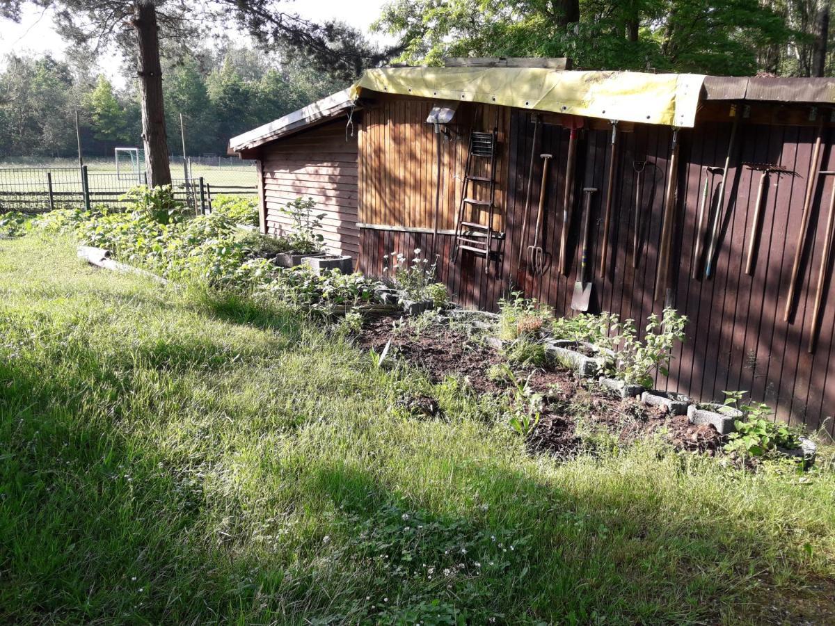 Ferienwohnung Birkenhof Ashram Shanti Zimmer Zittau Exterior foto
